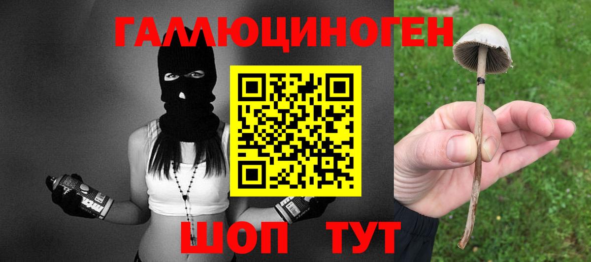 Махачкала  МЕФ   Героин  Бошки Шишки  МДМА  Кетамин  Конопля  A PVP СК  