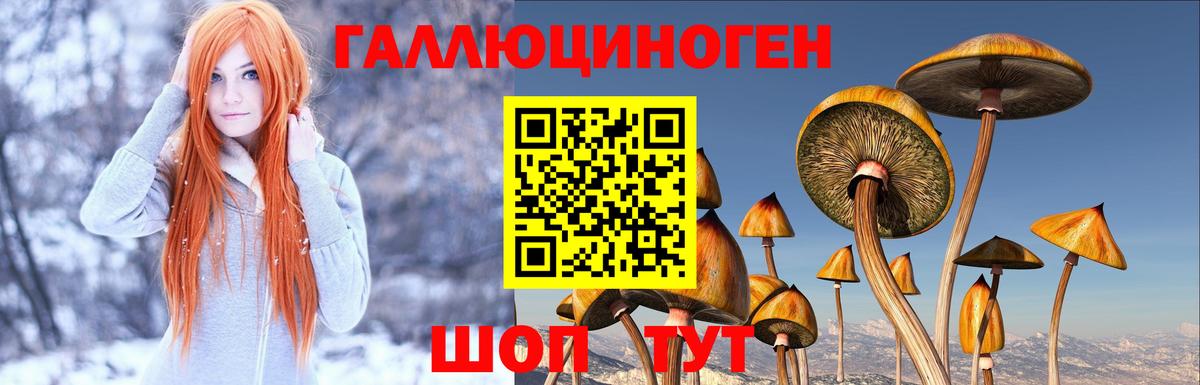 Псилоцибиновые грибы ЛСД  Махачкала 