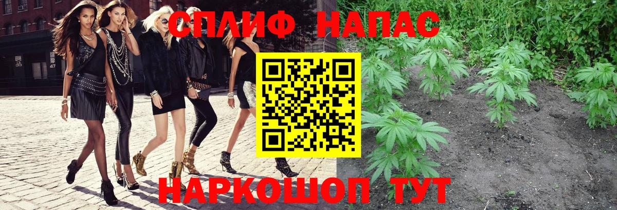 Канабис план Махачкала